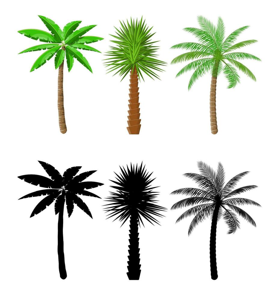 tropicale verde palma impostare. giungla le foglie. Noce di cocco palma, mostri, fan palma, rhapis. naturale foglia, esotico rami albero. vettore illustrazione nel piatto stile