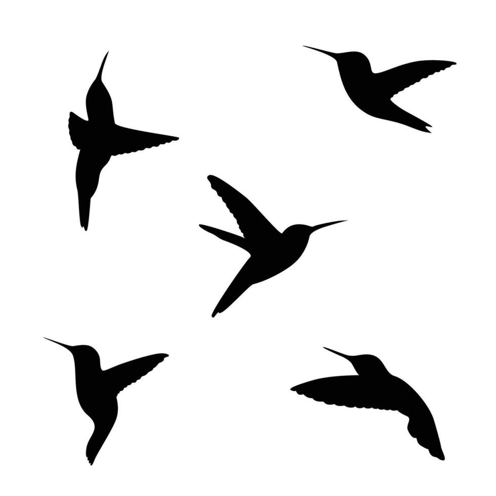 impostato di colibrì silhouette design. bellissimo uccello cartello e simbolo. vettore