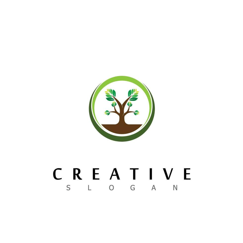 albero logo design naturale eco vettore foglia crescita