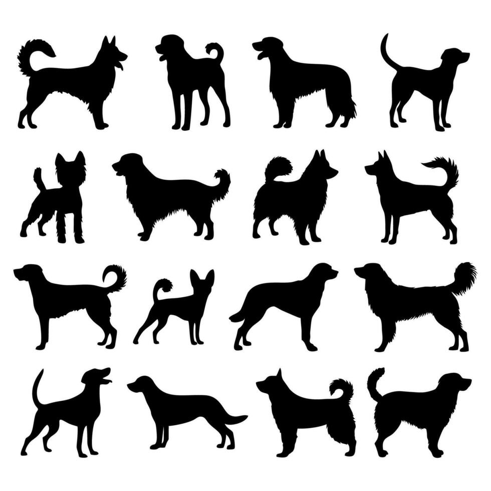 impostato di cani, nero sagome di cani razze isolato su bianca sfondo. animali domestici vettore illustrazione