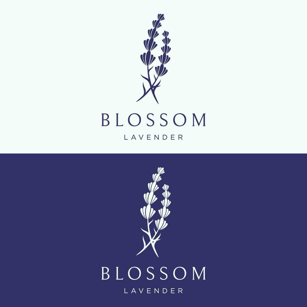 fioritura lavanda biologico fiore logo modello design. logo per cosmetici, bellezza, botanica, profumo e decorazione. vettore