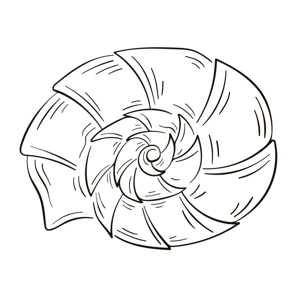 lumaca conchiglia nel linea arte stile. marino subacqueo contorto conchiglia di spirale forma. sottomarino crostacei. vettore illustrazione isolato su un' bianca sfondo.