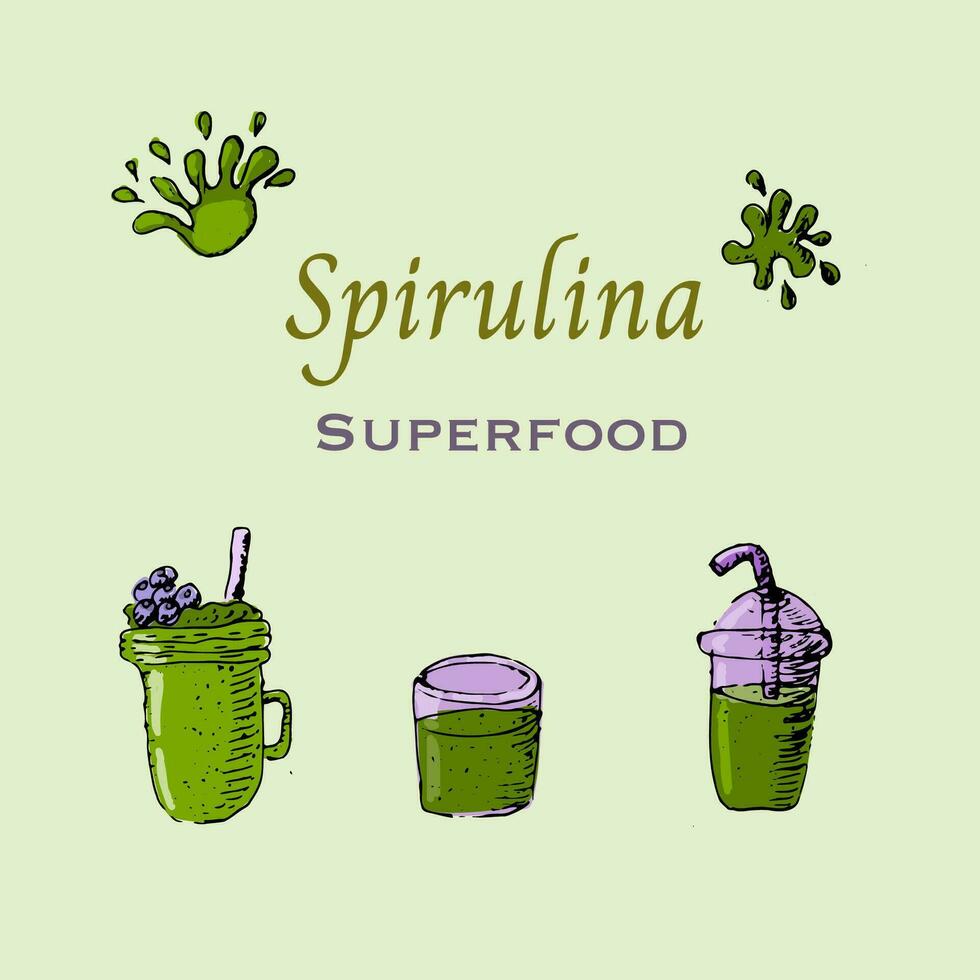 sfondo di spirulina alghe bevande nel mano disegnato schizzo stile. vettore illustrazione multicolore. può Usato per superfood etichetta, volantino, carta.