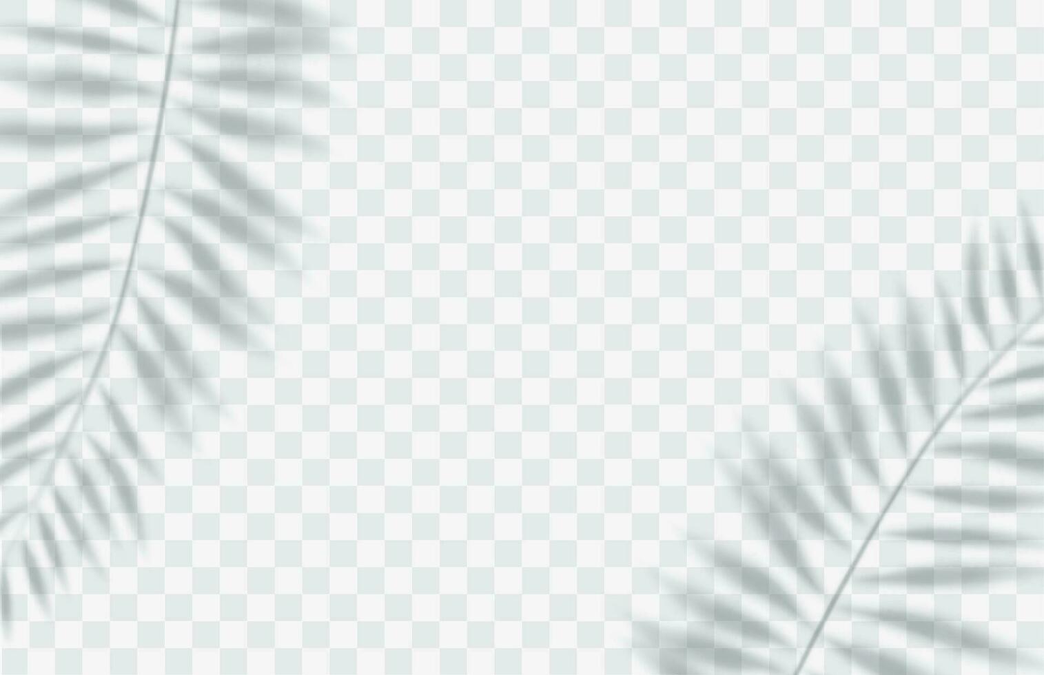 ombra copertura effetto. trasparente morbido leggero e ombre a partire dal rami, pianta e foglia di un' palma albero. modello di trasparente foglia ombra e naturale fulmine.vettore illustrazione vettore