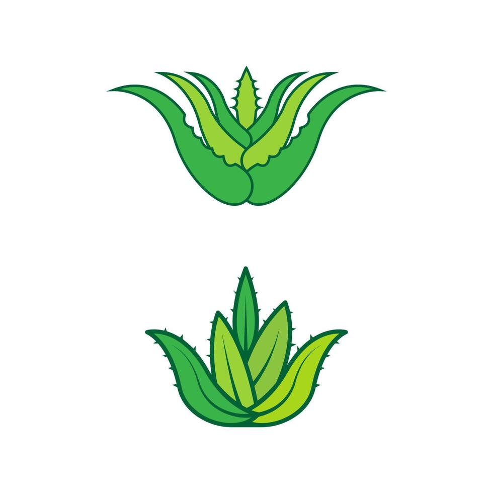 illustrazione del disegno dell'icona di vettore di aloe vera