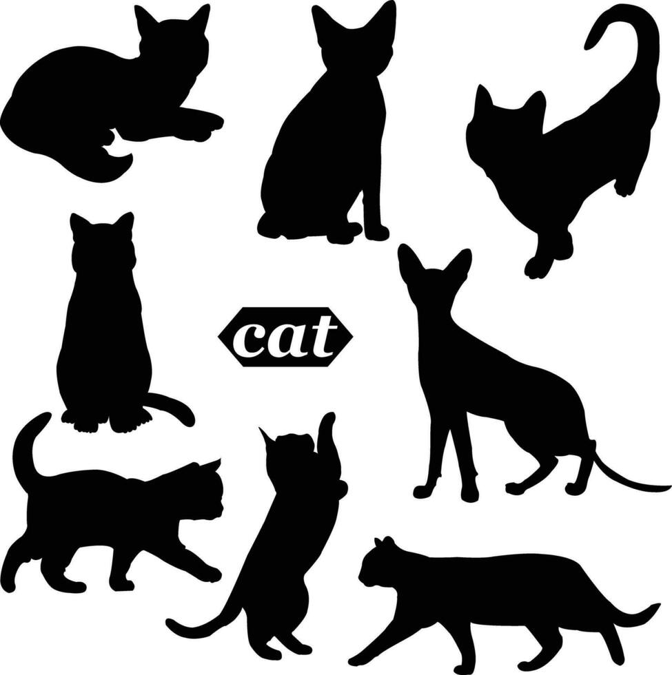 gatto vettore silhouette animale silhouette nero vettore animale domestico illustrazione