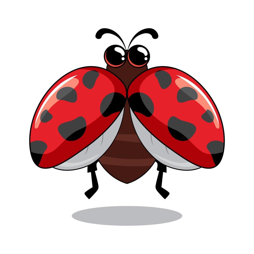 coccinella cartone animato illustrazioni carine coccinella vettore