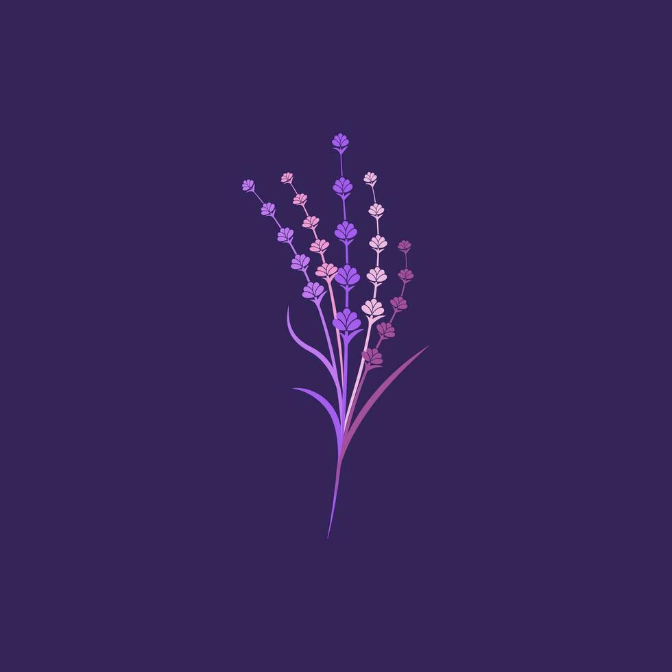 lavanda fiore vettore icona illustrazione