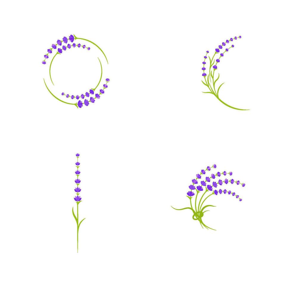 lavanda fiore vettore icona illustrazione