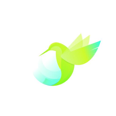 Illustrazione di un colibrì vettore