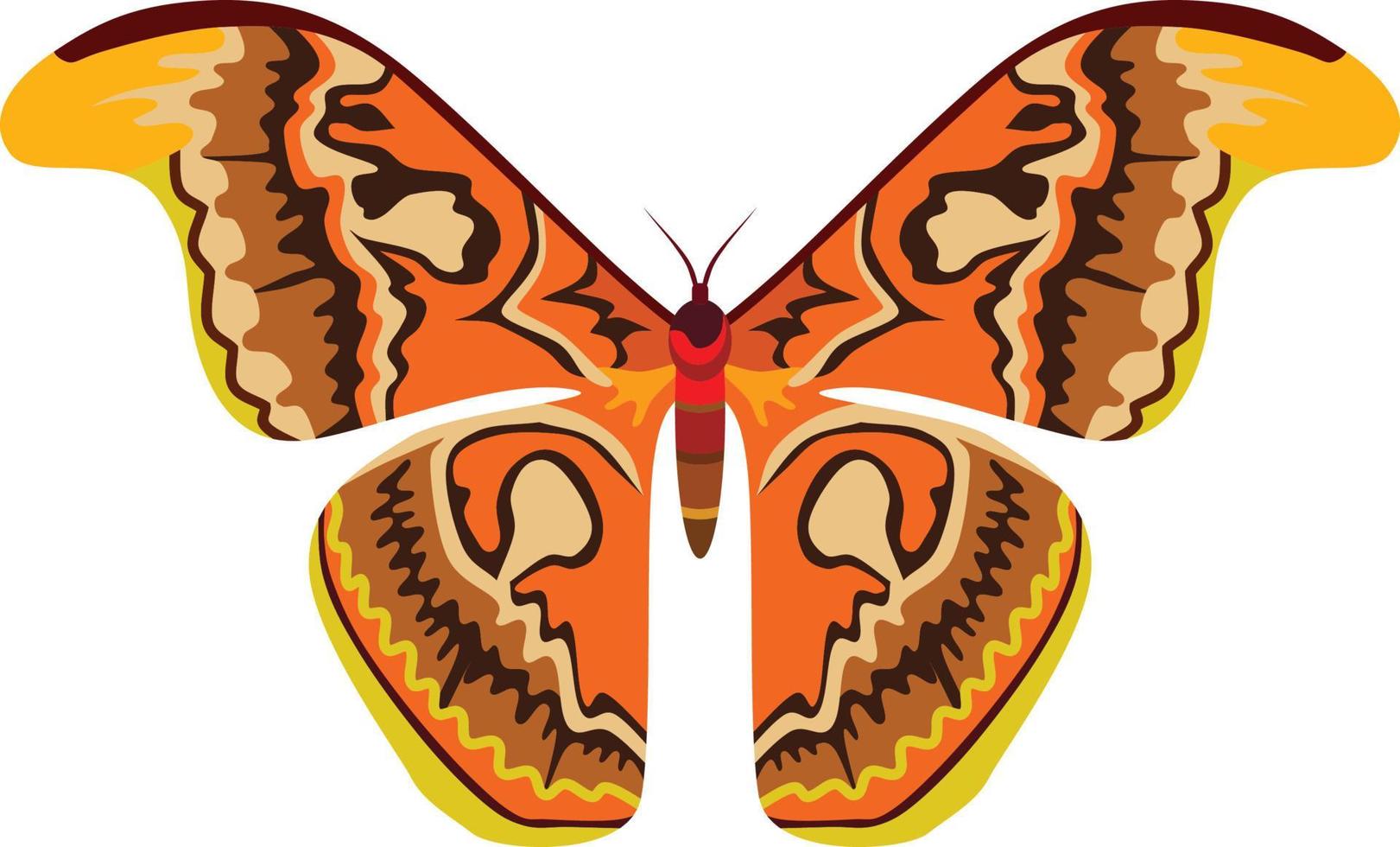 grande insetto farfalla animale vettore