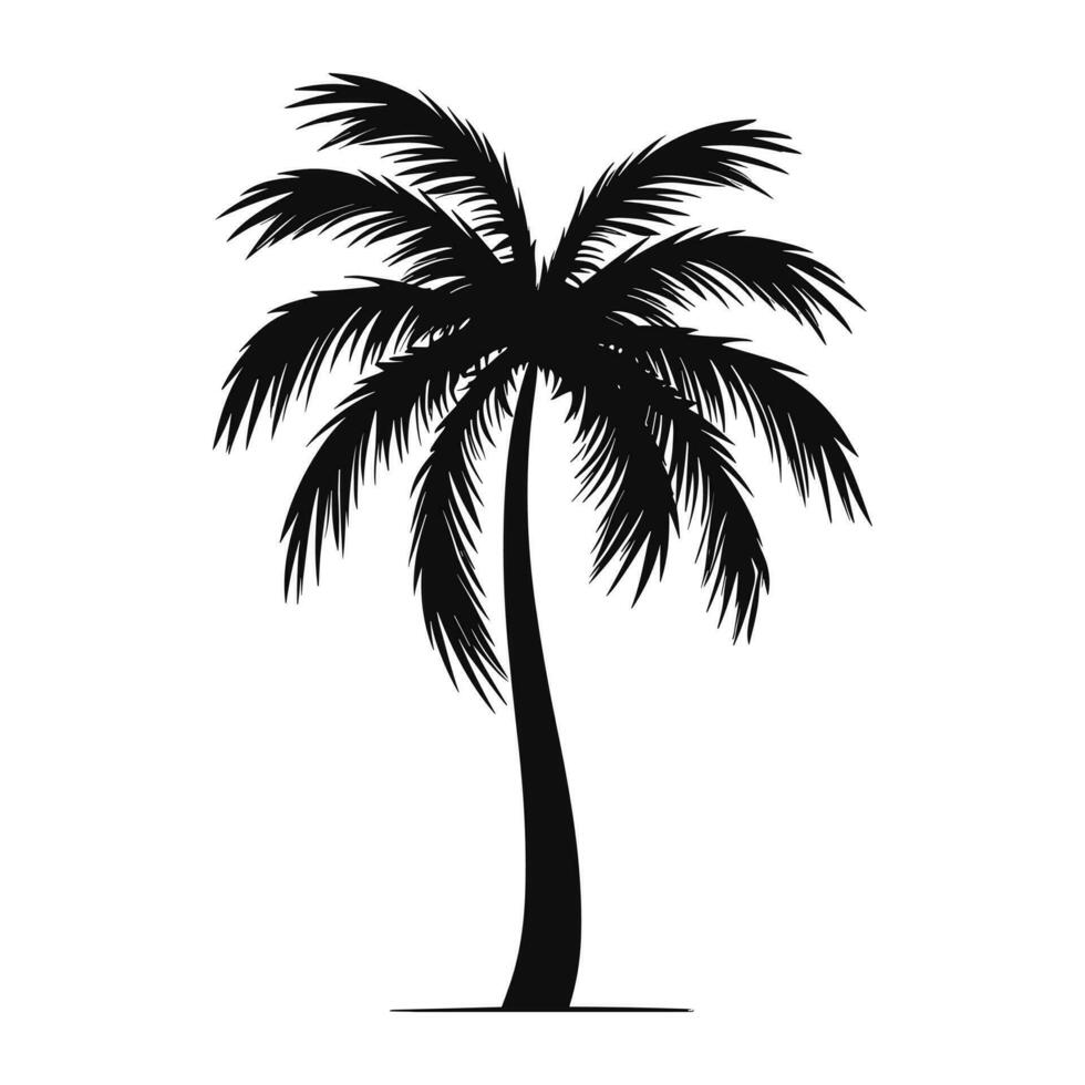 un' palma albero vettore isolato su un' bianca sfondo, tropicale palma albero silhouette
