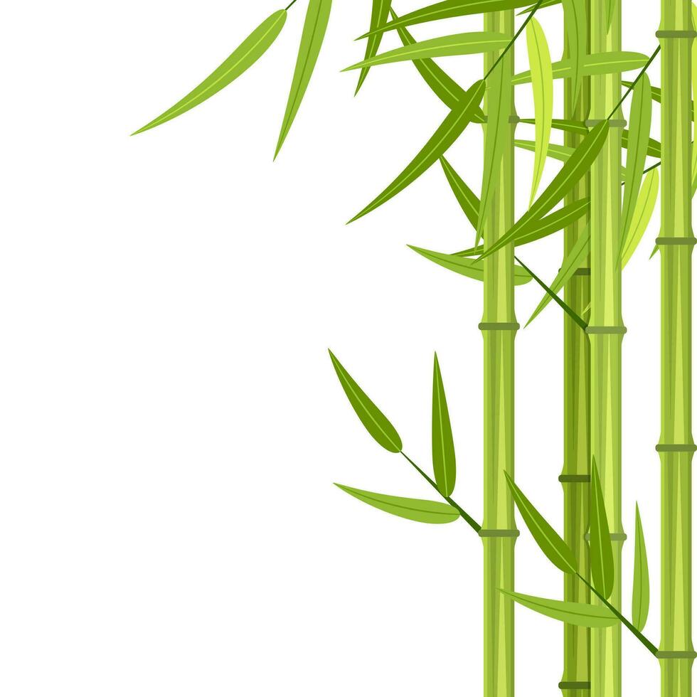 vettore verde bambù steli e le foglie isolato su bianca sfondo con copia spazio. vettore illustrazione nel piatto stile