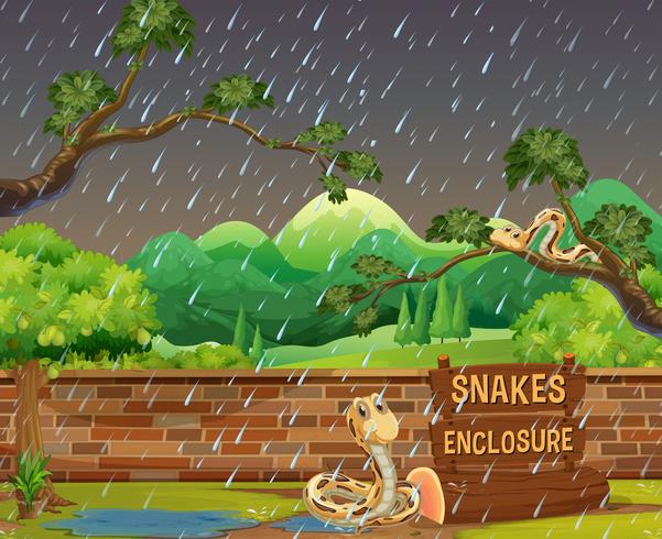 Scena dello zoo con serpenti sotto la pioggia vettore