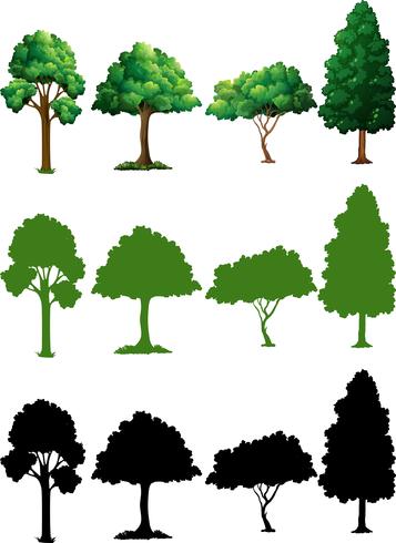 Set di design albero vettore