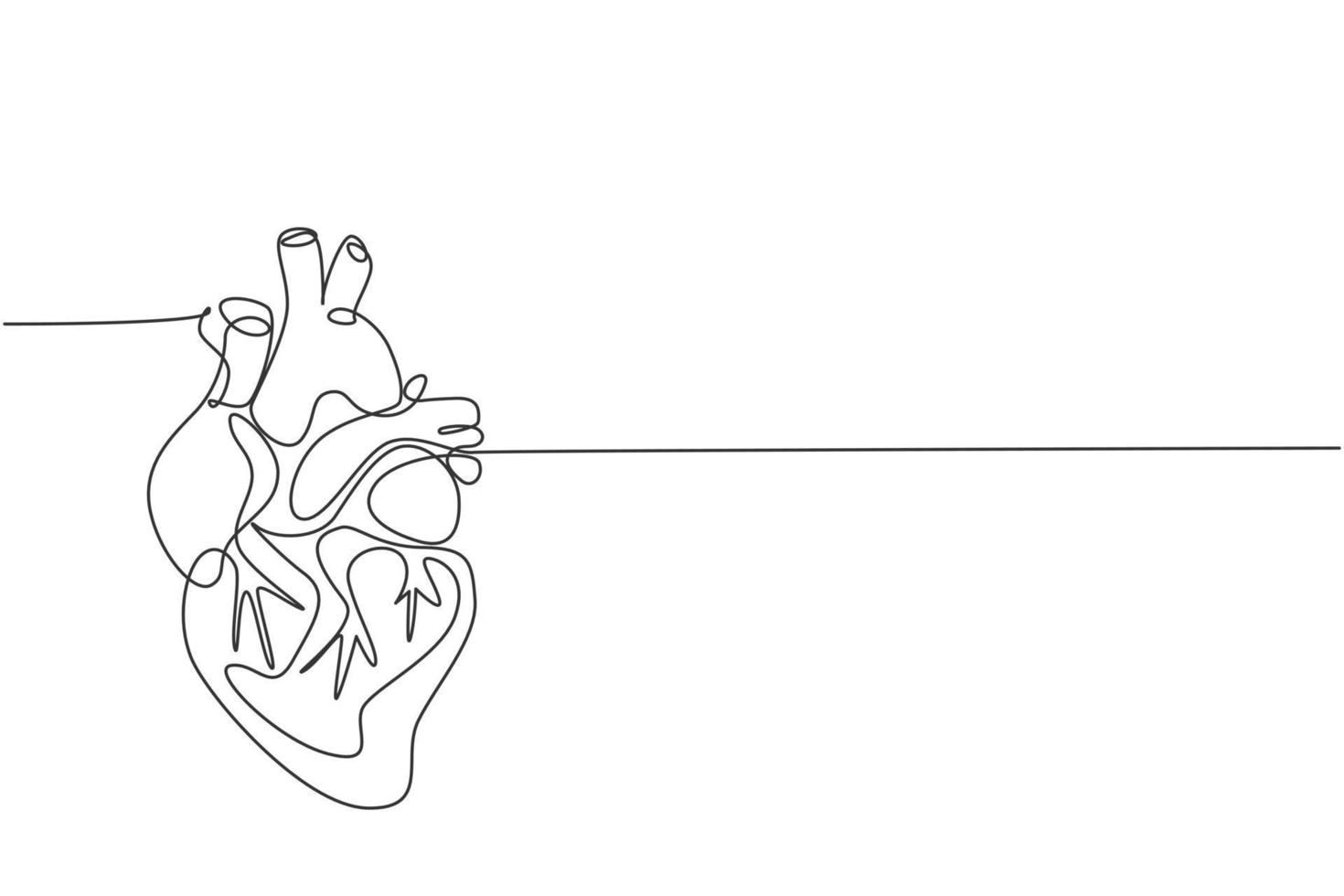 un disegno a tratteggio continuo dell'organo anatomico del cuore umano. concetto di anatomia interna medica. moderna linea singola disegna illustrazione vettoriale di design alla moda