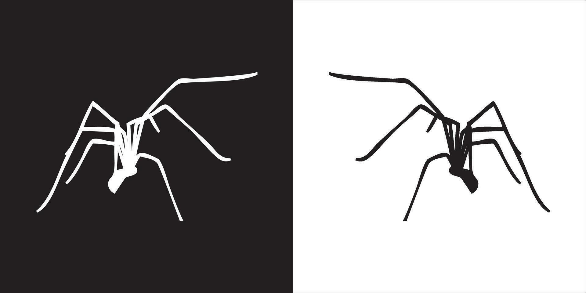 illustrazione vettore grafica di ragno icona
