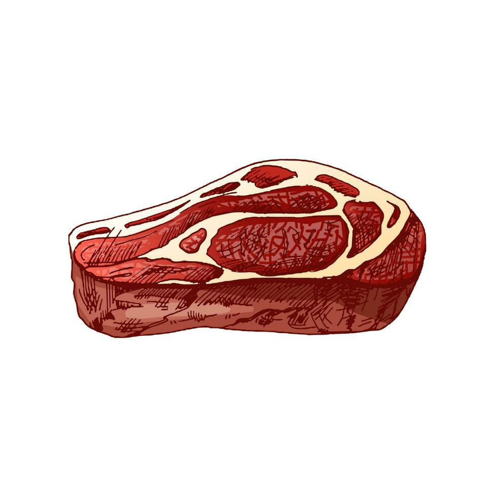 biologico cibo. mano disegnato colorato vettore schizzo di Manzo bistecca, pezzo di carne. scarabocchio Vintage ▾ illustrazione. decorazioni per il menù di caffè. inciso Immagine.