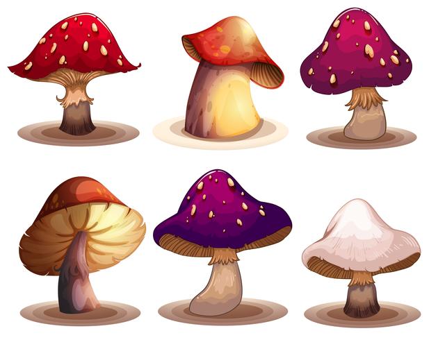 Un insieme di funghi colorati vettore