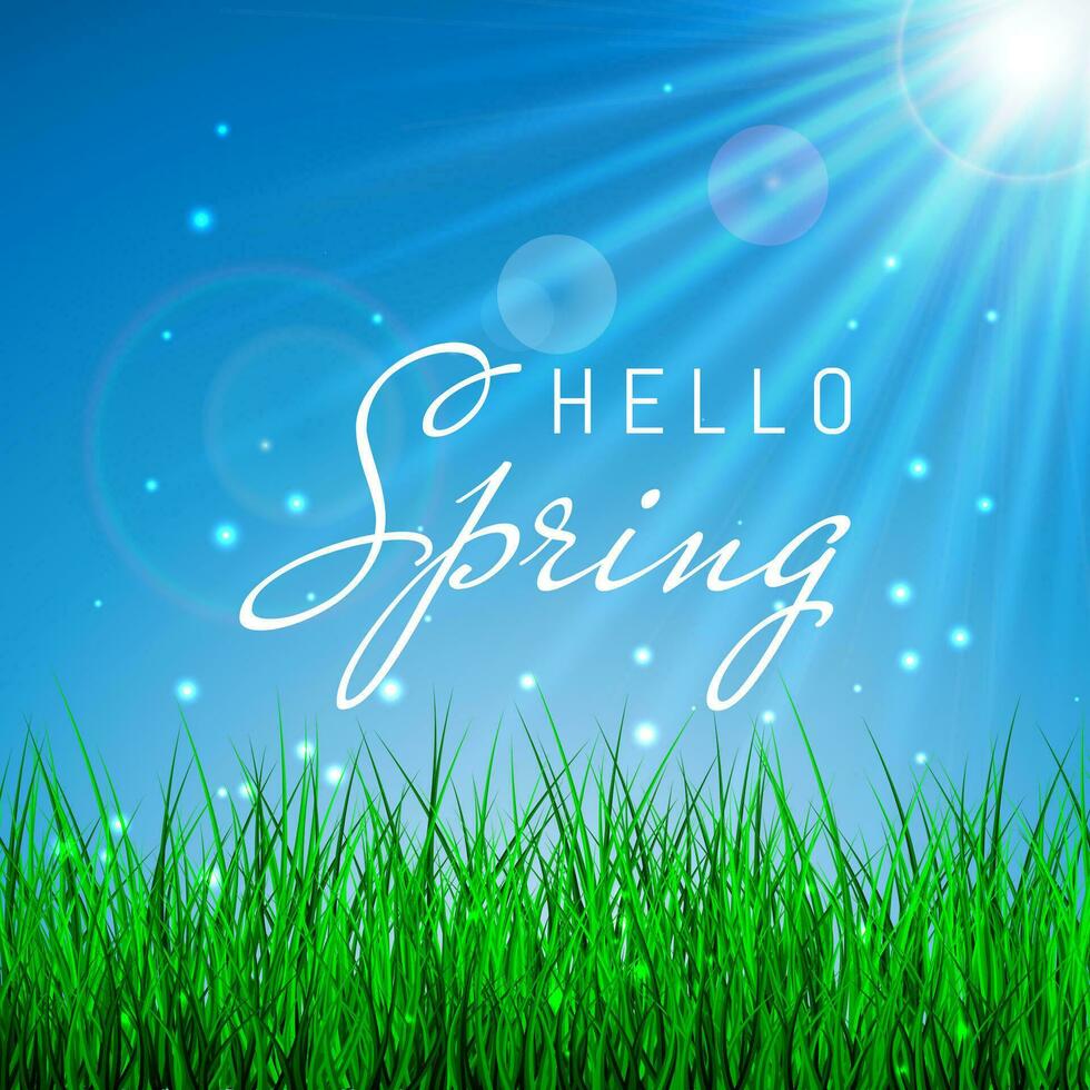 Ciao primavera manifesto con verde erba e blu cielo, vettore illustrazione