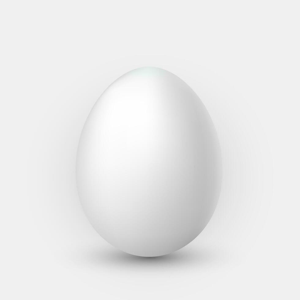 realistico bianca uovo con ombra su bianca sfondo vettore