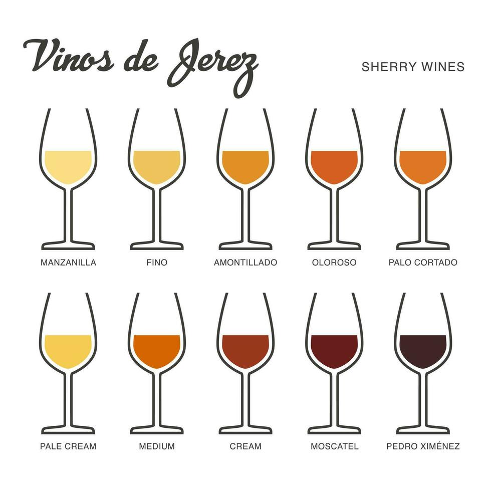 Sherry vino gamma scritto nel spagnolo. illustrato guida per barre, ristoranti, turista guide, enciclopedie vettore