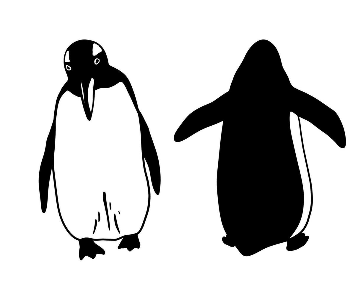carino pinguino davanti e Indietro. monocromatico vettore illustrazione isolato su bianca. realistico polare animale