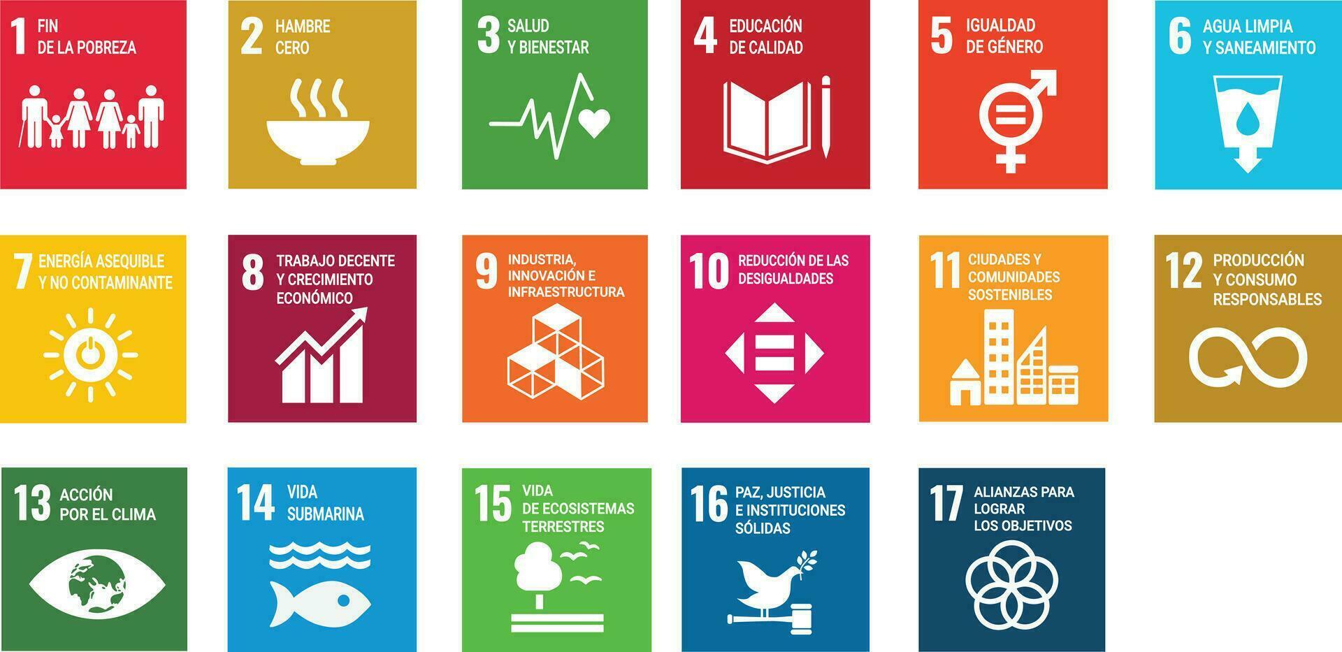 sostenibile sviluppo obiettivi logo spagnolo versione illustrazione vettore