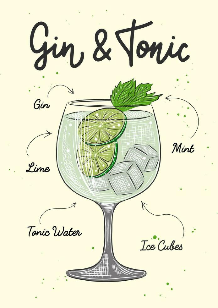 vettore inciso stile Gin e Tonico cocktail illustrazione per manifesti, decorazione, logo, menù e Stampa. mano disegnato schizzo con lettering e ricetta, bevanda ingredienti. dettagliato colorato disegno.