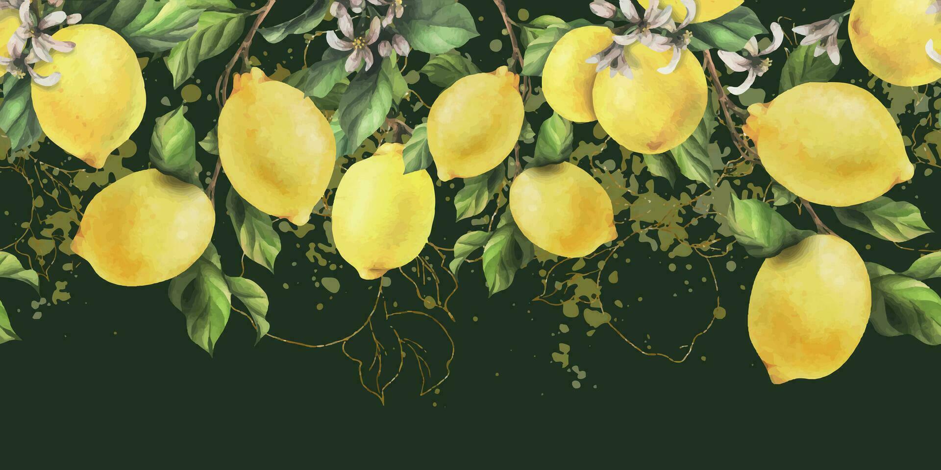 limoni siamo giallo, succoso, maturo con verde foglie, fiore mini cuffie su il rami, totale. acquerello, mano disegnato botanico illustrazione. senza soluzione di continuità confine su un' buio verde sfondo vettore eps