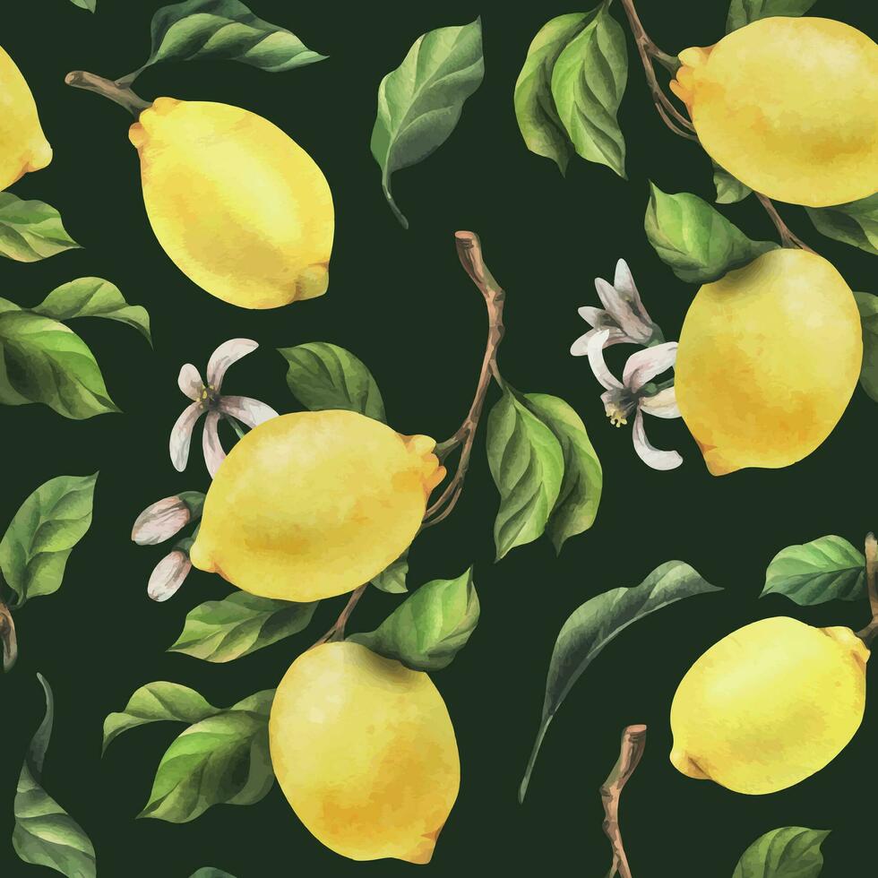 limoni siamo giallo, succoso, maturo con verde foglie, fiore mini cuffie su il rami, totale e fette. acquerello, mano disegnato botanico illustrazione. senza soluzione di continuità modello su un' verde sfondo vettore