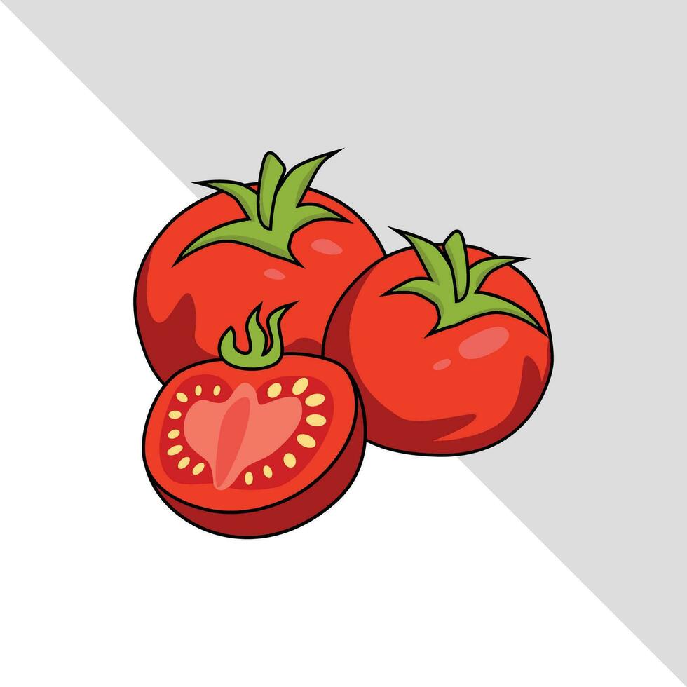 pomodoro verdura vettore illustrazione isolato grafico