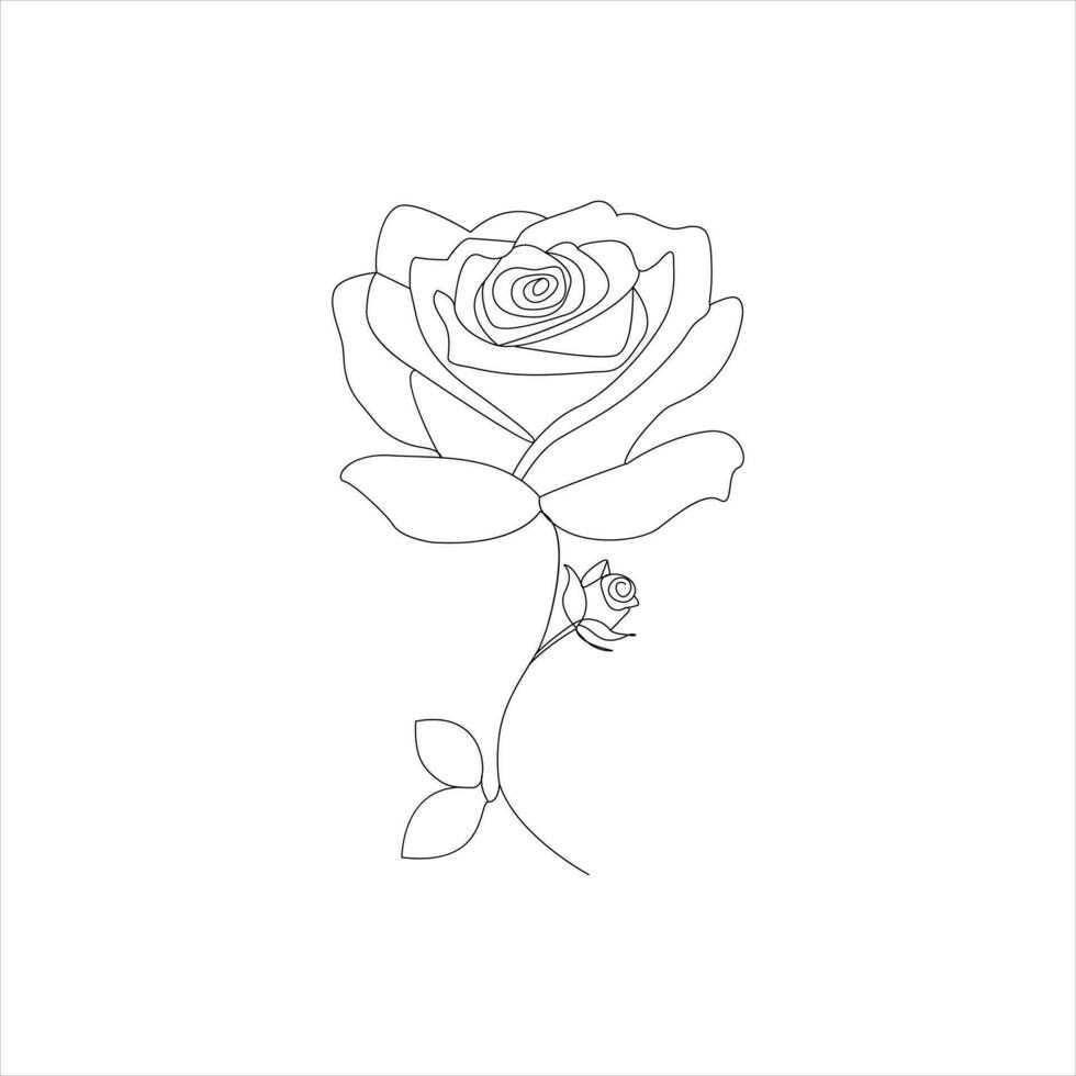 rosa uno continuo linea disegno. floreale fiore naturale design. grafico, schizzo disegno. rosa vettore