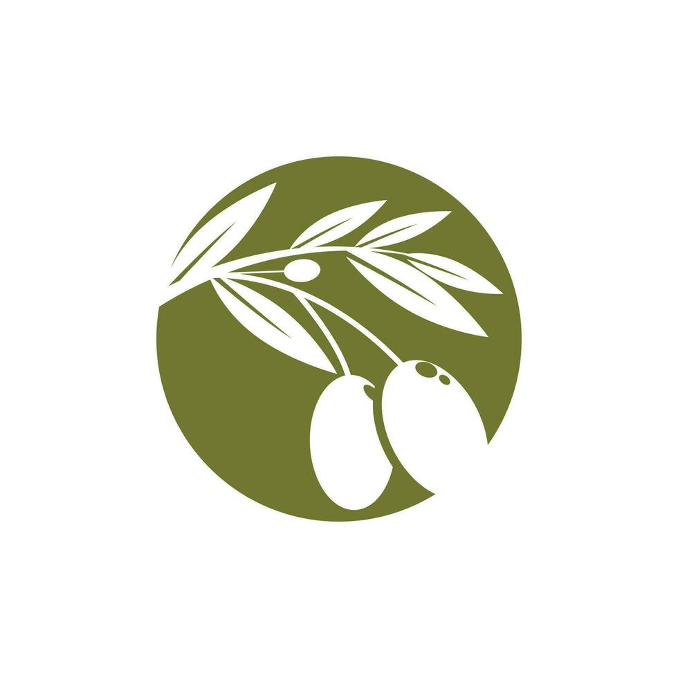oliva logo vettore modello simbolo elemento natura