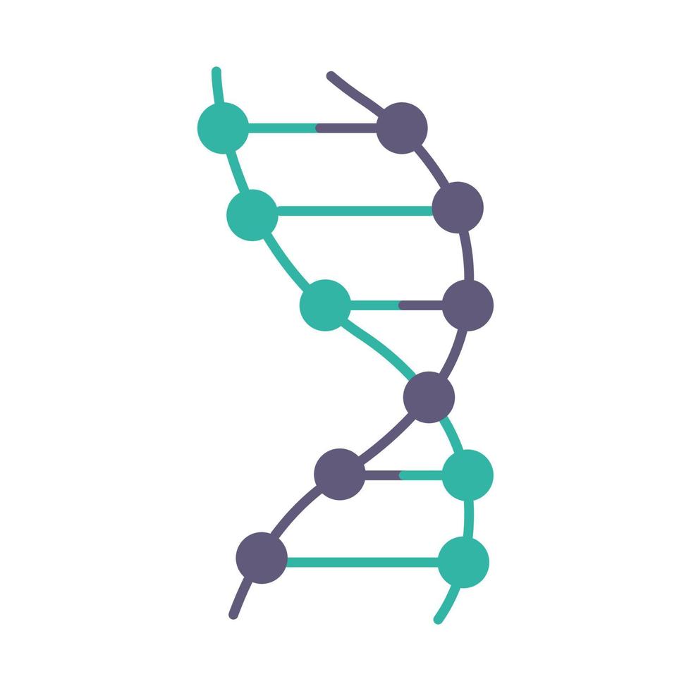 icona del colore viola e turchese dell'elica del dna vettore