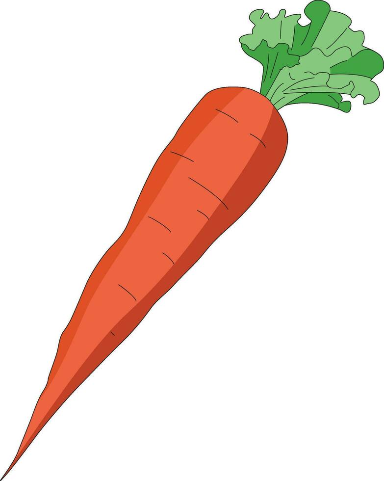 illustrazione vettoriale di carota