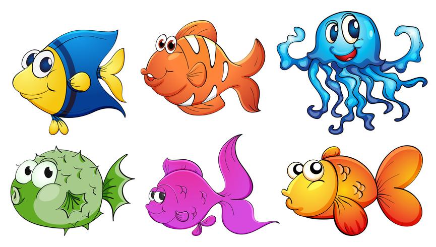Cinque diversi tipi di creature marine vettore
