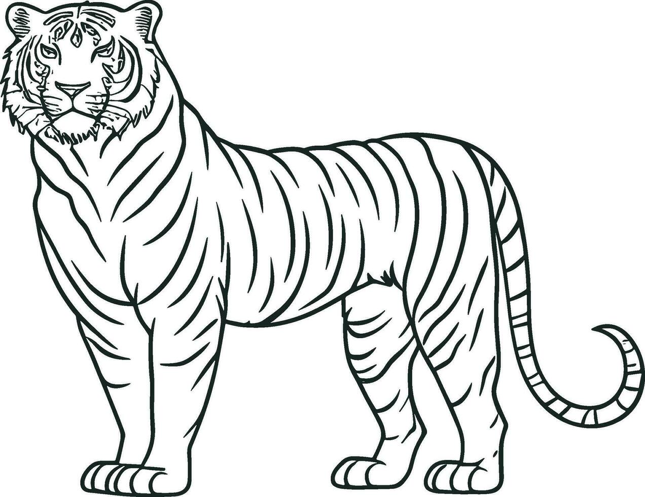 nero e bianca schema illustrazione di il a piedi tigre. ai generato illustrazione. vettore