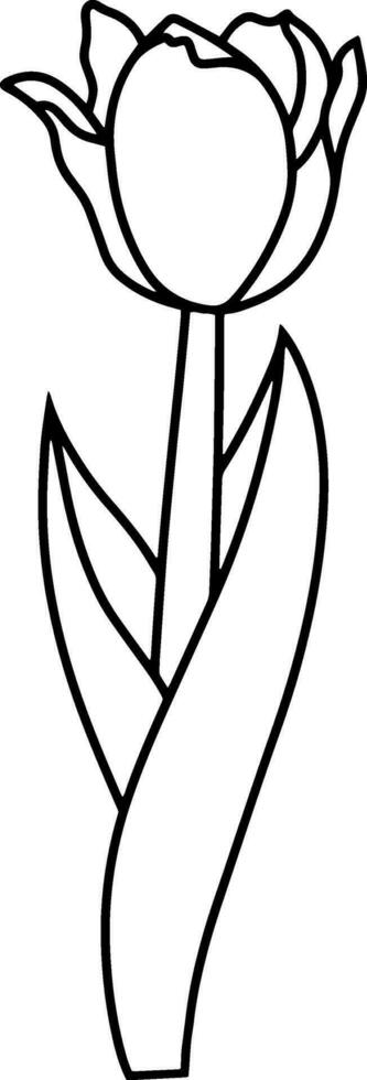 schema tulipano colorazione pagina libro scarabocchio fiore mano disegnato vettore illustrazione