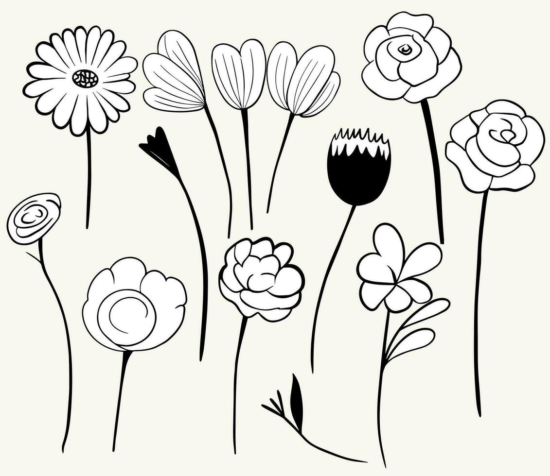 monocromatico scarabocchio fiori. floreale elementi impostare. schema botanico illustrazione. mano disegnato isolato impianti. vettore