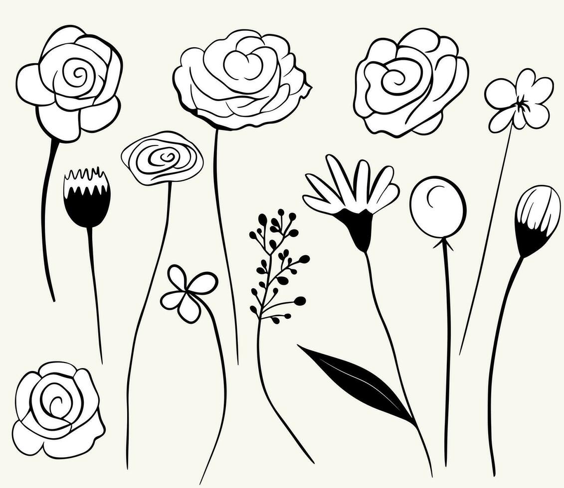 monocromatico scarabocchio fiori. floreale elementi impostare. schema botanico illustrazione. mano disegnato isolato impianti. vettore