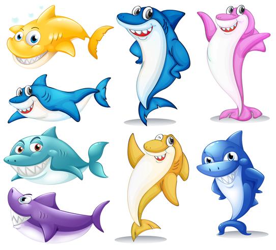 Un gruppo di squali colorati vettore