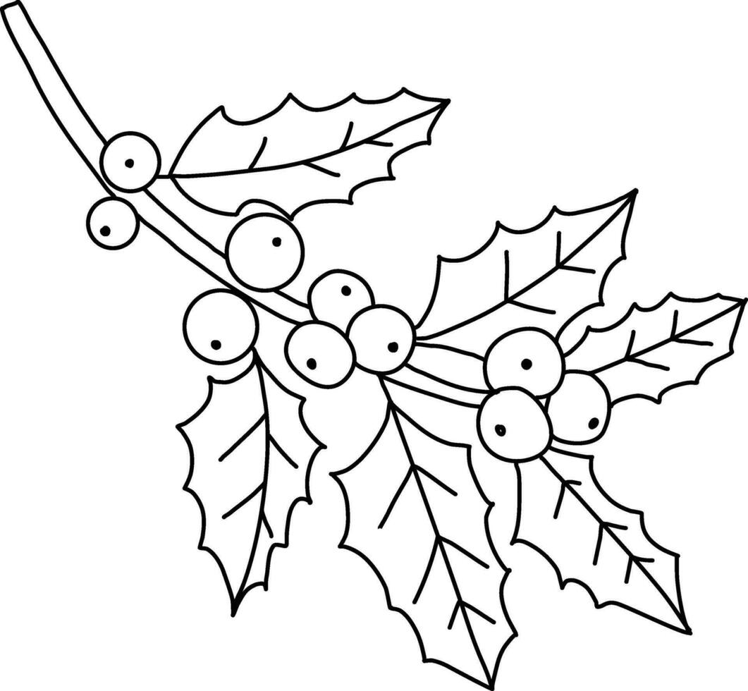 scarabocchio semplice, carino disegnato a mano agrifoglio modello, il agrifoglio design Usato decorare Natale carte, inviti, ghirlande. bellissimo agrifoglio le foglie e frutti di bosco. vettore