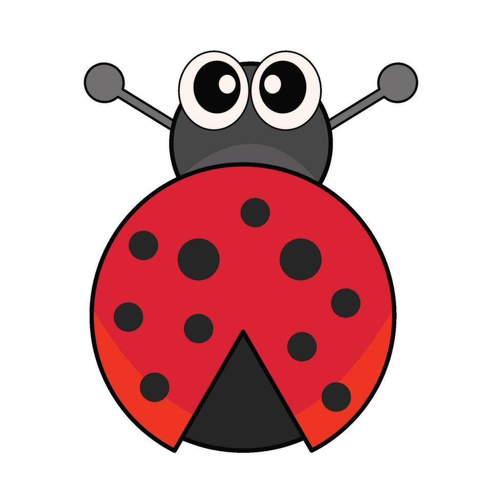 coccinella insetto illustrazione vettore