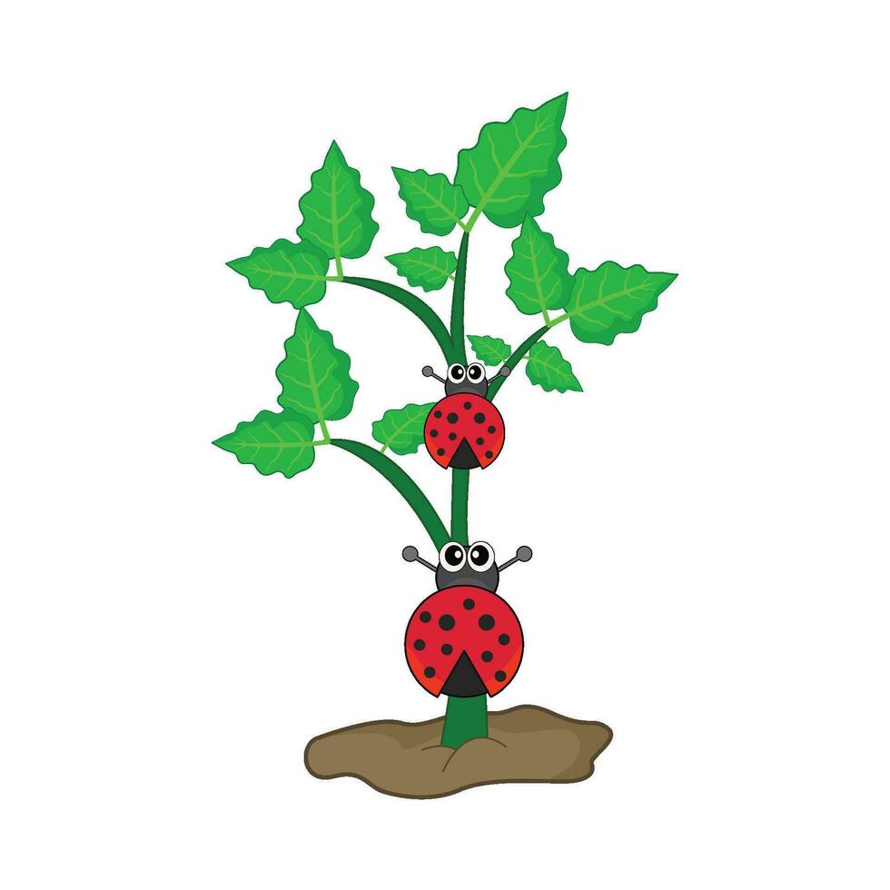 coccinella nel albero illustrazione vettore