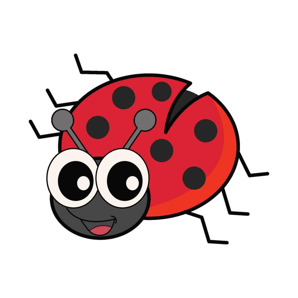 coccinella insetto illustrazione vettore