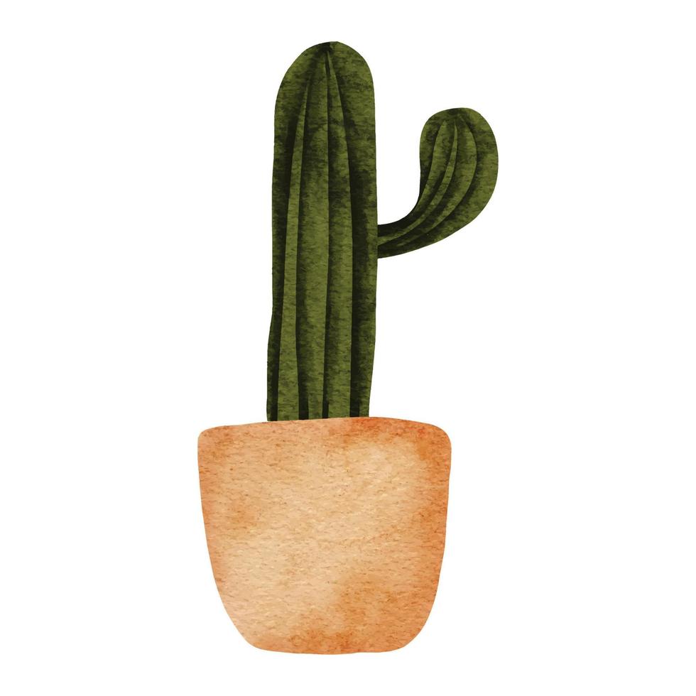 illustrazione della pianta della casa del vaso del cactus dell'acquerello vettore