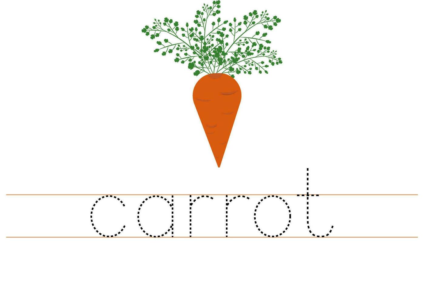 tracciare parola carota. inglese foglio di lavoro per bambini. cartone animato colorato carota. vettore