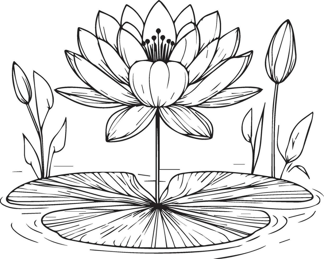 nymphaea acqua giglio disegni, schema acqua giglio disegno, schema acqua giglio fiore disegno, nero e bianca acqua giglio disegno, schizzo acqua giglio disegno, mano disegnato schizzo acqua giglio disegno vettore