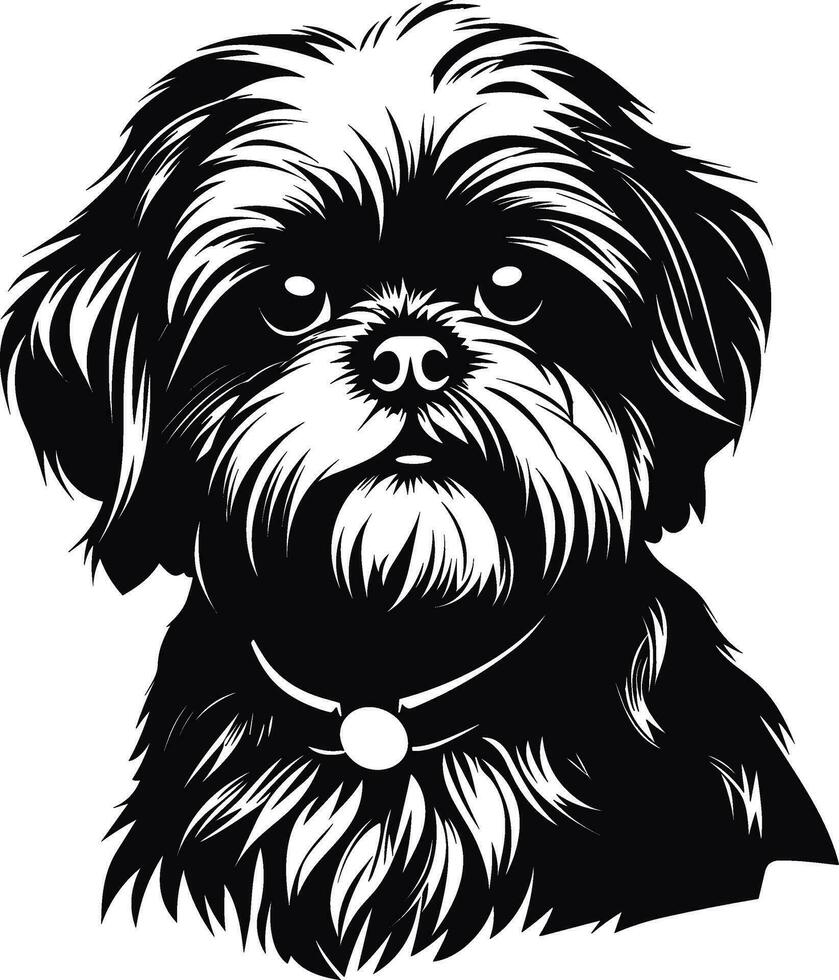 silhouette personaggio shih tzu cane, carino logo. vettore